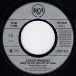 画像2: CARON WHEELER - BLUE (IS THE COLOUR OF PAIN) (PERFECT SHADE OF AQUA MIX) / JAMAICA  (2)