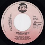 画像2: CHERRELLE WITH ALEXANDER O'NEAL - SATURDAY LOVE / I DIDN'T MEAN TO TURN YOU ON  (2)