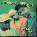 画像1: A TRIBE CALLED QUEST - CHECK THE RHIME (MR. MUHAMMAD'S MIX) / SKYPAGER  (1)