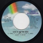 画像1: MARY J. BLIGE - ‎LOVE IS ALL WE NEED / I CAN LOVE YOU  (1)