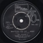 画像2: THE JACKSON 5 - THE LIFE OF THE PARTY / WHATEVER YOU GOT, I WANT  (2)