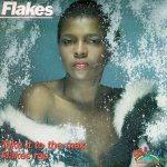 画像1: FLAKES - TAKE IT TO THE MAX / FLAKES RAP  (1)