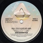 画像1: BREAKWATER - SAY YOU LOVE ME GIRL / WORK IT OUT  (1)