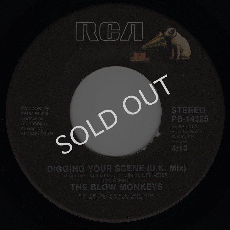 画像1: THE BLOW MONKEYS - DIGGING YOUR SCENE (U.K. MIX) / DIGGING YOUR SCENE (U.S. MIX)  (1)