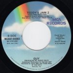 画像2: GUY - TEDDY'S JAM 2 (SINGLE JAM) / TEDDY'S JAM 2 (DUB JAM EDIT)  (2)