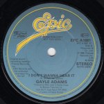 画像2: GAYLE ADAMS - LOVE FEVER / I DON'T WANNA HEAR IT  (2)