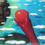 画像1: BOBBY HUTCHERSON / NATURAL ILLUSIONS (1)